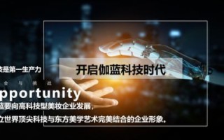 福建飞创网络评测，创新科技引领网络新时代
