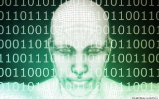 滴盾网络，安全守护，数字时代的网络安全解忧师