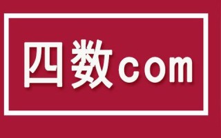 域名过户如何办理？详解步骤与注意事项
