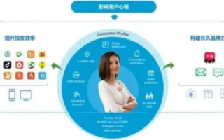 ITDOG官网，打造数字时代下的创新科技生态系统
