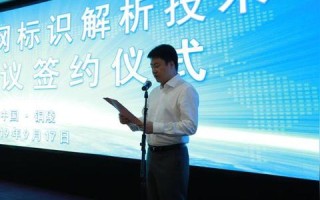 DNS解析错误与域名解析错误，深入解析及解决方案