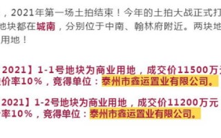 急域名抢注问题，法律、伦理与商业的灰色地带