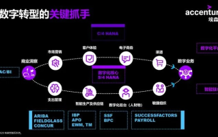 骑士互联，数字时代的稳定力量