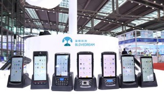 以下域名类别哪些为无条件禁止使用的？