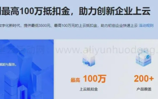 在哪里能租到100元一个的阿里云服务器
