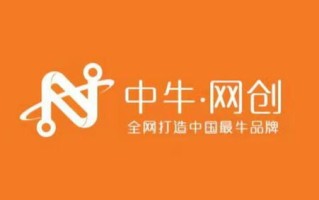 盛圣网络，数字时代下的创新力量与品牌塑造