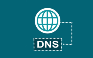如果注册了DNS服务器，还要不要去别的地方注册网站域名？