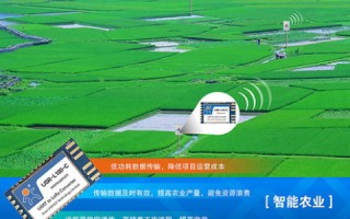 玉米网官网，农业信息化时代的领航者