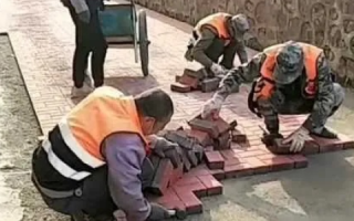 搬瓦工的故事，勤劳的双手与坚韧的精神