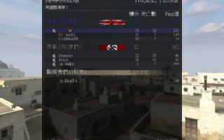 谁能告诉我一下CS国外服务器？