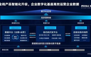 普泽云科技，赋能企业数字化转型的精英力量