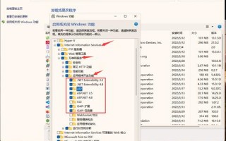 IIS服务器，虚拟主机同时支持ASP、PHP、ASPX页面的实现与探讨