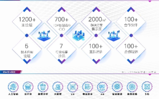 柒佰互联，稳中求变，筑梦数字时代的新篇章