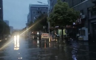 厦门中恒天下，综合评测与深度解读