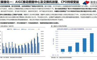 站长数据中心，使用经验、优势与挑战的全面分析