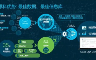 新思佳网络科技评测，打造数字化时代的高效网络连接