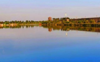 目前域名交易市场行业怎么样，繁荣背后的挑战与机遇