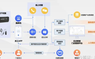 丹诚网络评测，深度剖析互联网服务，为用户提供精准选择