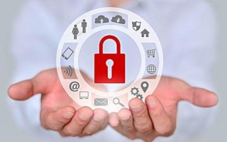 域名注册与交费全解析，从选择到支付的步骤指南