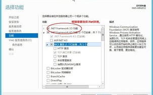 阿里云轻云服务器怎么样，性能、成本、易用性与安全性的全面解析