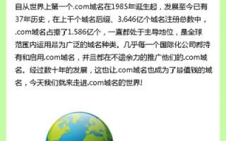 大虾们，别小看这个域名！www.com的价值远不止于此