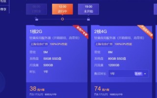 你好，我在云服务器买了个虚拟IP，我现在怎么才能在这个虚拟IP上搭建网站？