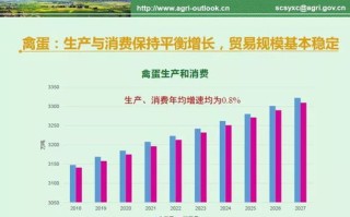 天一数据稳定性分析报告，现状、挑战与未来展望