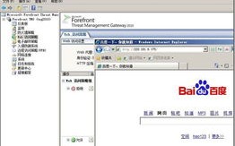 从IP地址到IP域名的转换，解析DNS服务器的角色与重要性