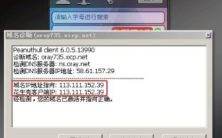 在IIS中设置花生壳域名后无法访问的解决指南