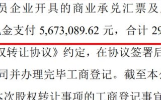 一、中国兆网的稳定评估
