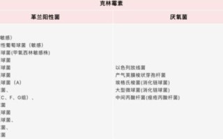 探索推荐网络，从原理到应用，你真的会用了吗？