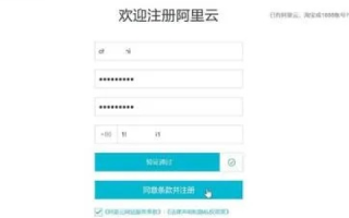 阿里云域名备案结果查询指南