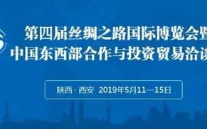 域名被抢了怎么办，应对策略与维权之路