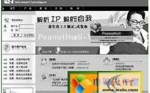 从菜鸟到大师，如何利用一个顶级域名打造你的在线帝国