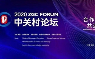 深入探讨环球万维的稳定性与长久性