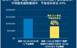 赛腾网品质评测全解析，网络冲浪的可靠伴侣