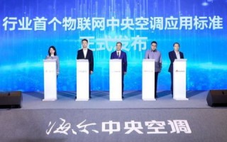 深入解析厦门维派科技，用户体验、技术创新与市场应用