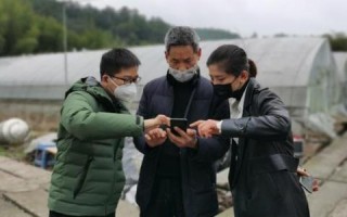 网银互联的现状与展望，便捷与安全并重的金融服务新时代