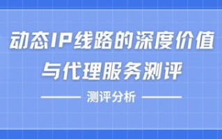 评测新宠，滴盾网络到底有多给力？深度解析其性能与优势
