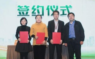 三牛网络科技，稳健前行，铸就数字时代新篇章