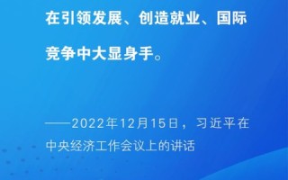 论红网互联在数字化时代的战略意义与未来发展