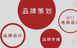 一品数据，挖掘商业洞察的力量