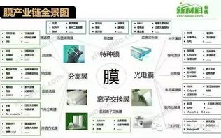 菜菜互联，重塑农业产业链，赋能智慧农业新时代