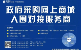域名代码规定中的GOV，政府网站的数字身份与公共服务的数字化转型