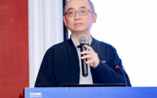 中国互联网络信息中心（CNNIC）在顶级域名管理与维护中的核心角色