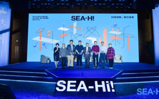 速海网络，引领未来网络技术的创新者