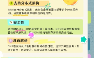 11在域名系统中的独特作用与意义