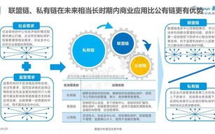 深入剖析优钻数据，优势、挑战与未来发展展望