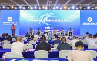 东北数据中心，科技赋能下的东北振兴新篇章