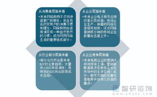 基于商务中国怎么样的探讨，网络商务行业现状与未来发展趋势